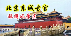 肏日本女优小穴黄色视频中国北京-东城古宫旅游风景区